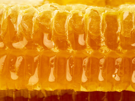 gallery/bee-honeycomb-closeup-fresh-stringy-dripping-sweet-84SXHPF